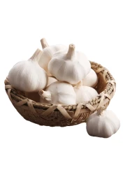 Fresh Garlic 200g