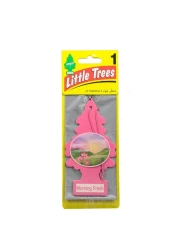 Little Trees Car Air Freshener (Morning Fresh)