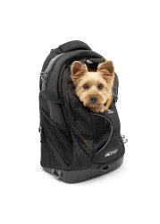 Kurgo GTrain Pack Carrier Backpack for Small Dogs and Cats Ideal for Hiking or Travel Waterproof Bottom Black
