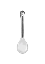 Raj Stainless Steel Serving Spoon Silver 24cm