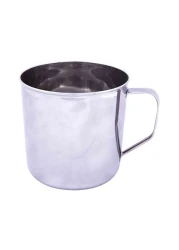 Raj Deluxe Mug Silver 10cm