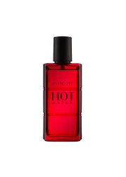 Davidoff Hot Water for Men - Eau de Toilette