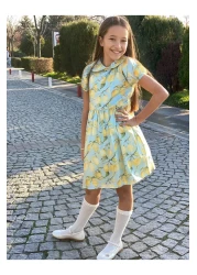 HC Kids Wear Girl's Baby Collar Lemon Print Dress
