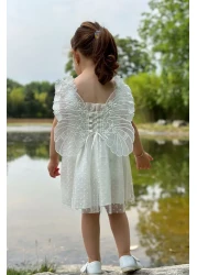 Baby Animals Baby Girl and Child Dress - for Birthday and Party Wedding, Short Sleeve Dress with Lace and Lining