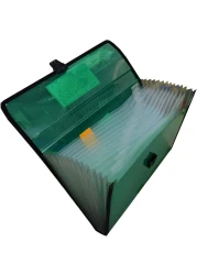 FOLDERMATE EXPDG FILE 12POK AST BX 12 PG