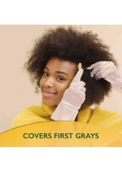 ويلا سوفت كولور مجموعة صبغة الشعر خالية من الأمونيا رقم 60 - شقراء داكنة.