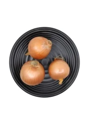 كيس بصل أصفر بني 2 كجم