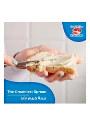 Al Ain Farms Cream Cheese Jar 500g Pack of 2