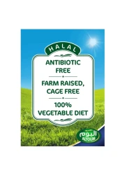 Alyoum Fresh Chicken Thigh 900g