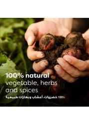 كنور كلاسيك شوربة الفطر 53 غرام