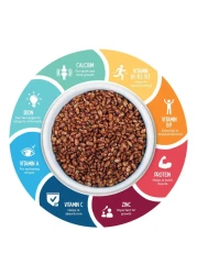 Kellogg's Coco Pops Breakfast Cereal 330g