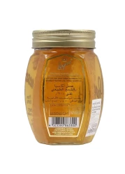 Langnese Acacia Honey With Comb 500g