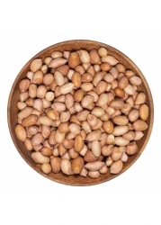 لوس بينوس فول سوداني نيء