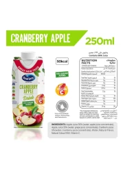 Ocean Spray Cranberry Apple Mixed Fruit Drink 250ml Pack of 3