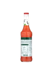 Monin Pure Red Fruits Unsweetened Concentrate 700ml
