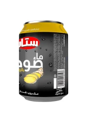 Star Ginger Ale Carbonated Soda 300ml