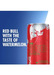 Red Bull Energy Drink Watermelon 250ml