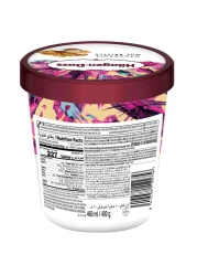 Haagen Dazs Macadamia Nut Brittle Ice Cream 460ml