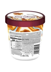 هاجن داز آيس كريم بالكراميل المملح 460 ملل