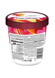 هاجن داز آيس كريم بنكهة المانغو و توت العليق 460 ملل