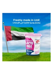 Al Ain Farms Lacto-Free Full Cream Fresh Yoghurt 400g