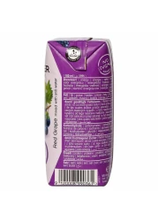 Hollinger Bio Organic Red Grape Juice 200ml