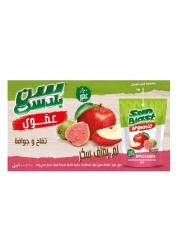 Sunblast No Added Sugar Organic Apple Guava Juice 200ml Pack of 10
