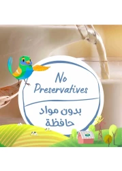 أرلا حليب عضوي قليل الدسم، 200 ملل، حزمة من 6