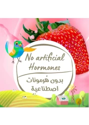 Arla Organic Strawberry Milk Multipack, 200ml Pack of 12