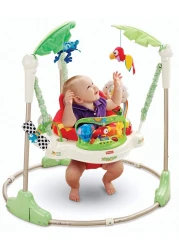 Coolbaby Baby Bouncing Chair/Jumper