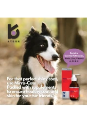 Kyron Mirra-Cote with BioZinc Omega 3:6 Supplement for Healthy Skin &amp; Coat 200 mL