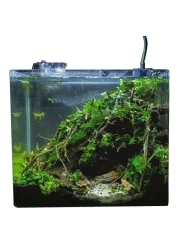Aqua Viu Curved Glass Tanks - 18 x 13 x 18 cm