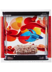 Hagen Marina Betta Kit - Sun Swirl 2L