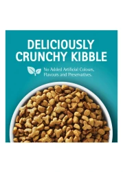 بورينا ون فيزيبل طعام القطط للتحكم في كرات الشعر بالدجاج للقطط بعمر سنة فما فوق 1.2 كغ