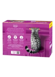 ويسكاس مع الدجاج في مرق اللحم طعام رطب للقطط 1 سنة وما فوق 80 غرام حزمة 12 غرام