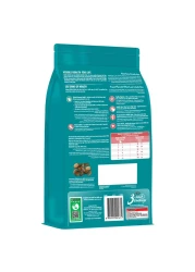 Purina One Healthy with Salmon and Tuna Adult Dry Cat Food, 1 Years and above, 1.2kg