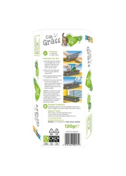 Webbox Cat Grass Complete Easy Grow Kit 120g