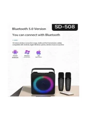 Home Karaoke Portable Bluetooth Speaker Dual Wireless Microphone Live TV FM Radio TF Card USB Subwoofer Music Center Audio