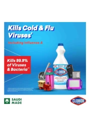 Clorox Liquid Bleach 950ml