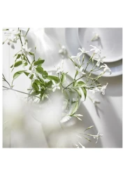 Scented Candle In Glass Scent Of Jasmine Pear Ginger And Lily Of The Valley Suitable 20Hr