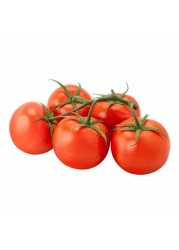 Premium Tomato Bunch