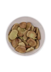 Los Pinos Jumbo Broad Beans