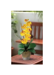 Nearly Natural Phalaenopsis Silk Orchid Flower Arrangement