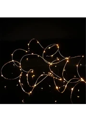Generic - 2M 20LED Micro Rice Wire Copper Fairy String Lights Party BG