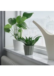 Plant Pot In/Outdoor Grey 9cm