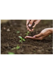 Vsell24 Bio Tech Potting Soil With Micro Nutirients For Indoor And AC Rooms Soil For Home Gardens Made In UAE 10L(3Kg)