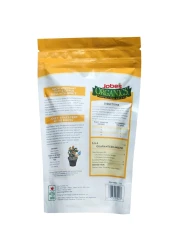 Jobes Organics Garden Fertilizer Spikes Easy Plant Care Fertilizer for Fruit and Citrus Plants and Trees 6 Count