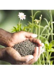 Pack of 250g Mycorrhiza Biological Soil Conditioner - Enhances Root System &amp; Plant Growth