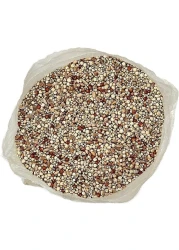 Egardenkart&reg; Daily Budget-Friendly Wild Bird Feed for All types of Wild Birds Small Birds Dove Pigeon Myna Lark Bulbul Sparrow Hoopoe Seed Mix (1)