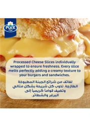 بوك شرائح جبنة الأصلية 200 جم × قطعتين